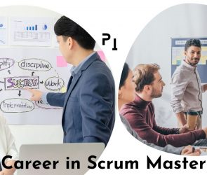 Career in Scrum Master